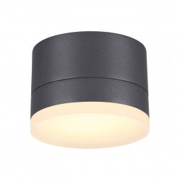 358084 STREET NT19 728 темно-серый Ландшафтный светильник IP54 LED 3000К 12W 220V KAIMAS
