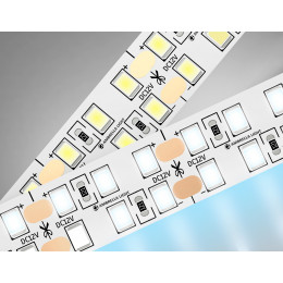 GS1703 2835 240Led/ 24W m/ 12V IP20 6500K/ 5000*10*1.2mm (2 конт.)