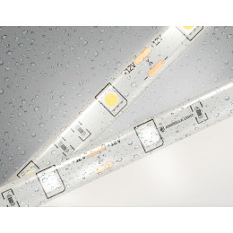 GS1902 5050 30Led/ 7.2W m/ 12V IP65 4500K/ 5000*10*2.87mm (2 конт.)