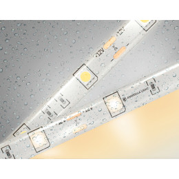 GS1901 5050 30Led/ 7.2W m/ 12V IP65 3000K/ 5000*10*2.87mm (2 конт.)