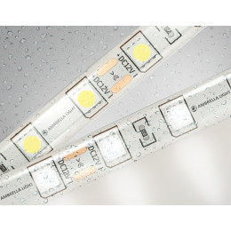GS2102 5050 60Led/ 14.4W m/ 12V IP65 4500K/ 5000*10*2.87mm (2 конт.)