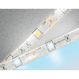 GS1903 5050 30Led/ 7.2W m/ 12V IP65 6500K/ 5000*10*2.87mm (2 конт.)