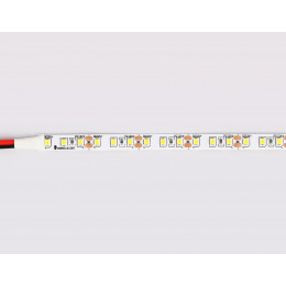 GS1101 2835 120Led/ 9.6W m/ 12V IP20 3000K/ 5000*8*1.2mm (2 конт.)