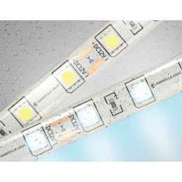 GS2103 5050 60Led/ 14.4W m/ 12V IP65 6500K/ 5000*10*2.87mm (2 конт.)