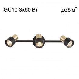 CL505631 SAT Черный+Зол. Св-к Наст.-Потол.