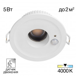 CLD00305S SIGMA с датчиком движения.