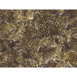 30004DG/Обои/Dolce&Gabbana/Dolce&Gabbana №1/TCW007 TCAHO UL022/ леопарды коричнево-черные