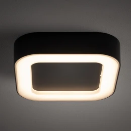 Бра Crystal Lux TREVI AP2 BRASS