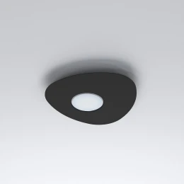 Потолочный cветильник Nowodvorski Organic Black 8303