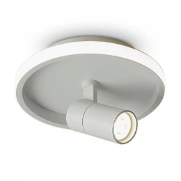 Потолочный светильник Freya FR6040CL-L14W