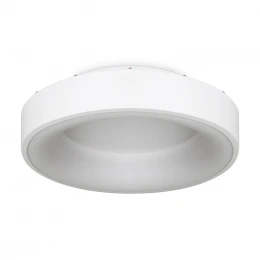 Потолочный светильник Freya FR6118CL-L45W