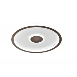 Потолочный светильник Freya FR5421CL-L80BR