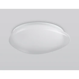 FZ1601 FR матовый IP20 40W 5000K 410*100 (Без ПДУ)