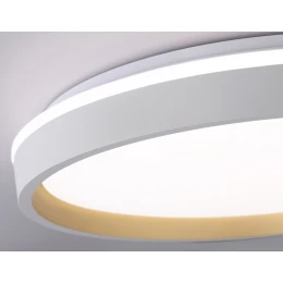 FZ607 WH/GD белый/золото IP20 66W 3000K-6500K+RGB D490*85 (ПДУ ИК)