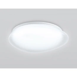 FZ1601 FR матовый IP20 40W 5000K 410*100 (Без ПДУ)