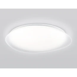 FZ1615 FR матовый IP20 60W 3000-6500K+RGB 510*100 (ПДУ ИК)