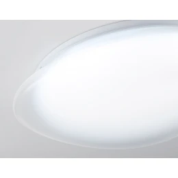 FZ1601 FR матовый IP20 40W 5000K 410*100 (Без ПДУ)