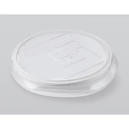 FZ1605 FR матовый IP20 60W 5000K 510*100 (Без ПДУ)