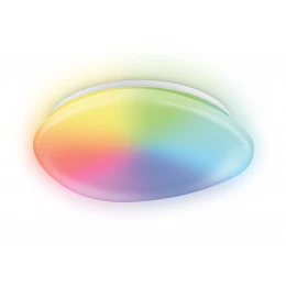 FZ1610 FR матовый IP20 40W 3000-6500K+RGB 410*100 (ПДУ ИК)