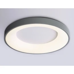 FZ1402 GR серый IP20 48W 3000K-6500K D500*50 (ПДУ ИК)