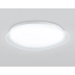 FZ1605 FR матовый IP20 60W 5000K 510*100 (Без ПДУ)