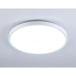 FZ3001 WH белый IP44 24W+10W 6400+6400К D300*40 (Без ПДУ)
