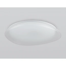 FZ1615 FR матовый IP20 60W 3000-6500K+RGB 510*100 (ПДУ ИК)