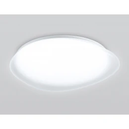 FZ1605 FR матовый IP20 60W 5000K 510*100 (Без ПДУ)