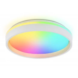 FZ601 WH/GD белый/золото IP20 46W 3000K-6500K+RGB D390*80 (ПДУ ИК)