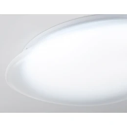 FZ1605 FR матовый IP20 60W 5000K 510*100 (Без ПДУ)