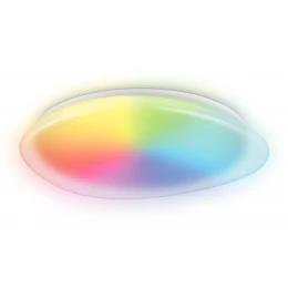 FZ1615 FR матовый IP20 60W 3000-6500K+RGB 510*100 (ПДУ ИК)