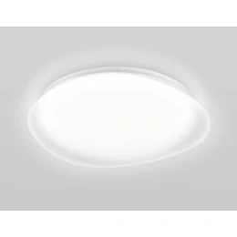 FZ1610 FR матовый IP20 40W 3000-6500K+RGB 410*100 (ПДУ ИК)