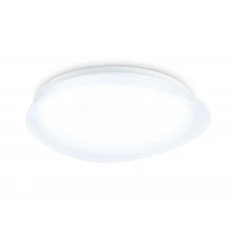 FZ1601 FR матовый IP20 40W 5000K 410*100 (Без ПДУ)