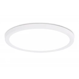 FZ1909 WH белый IP54 44W 3000K-6500K CCT-переключатель D600*25 (Без ПДУ)