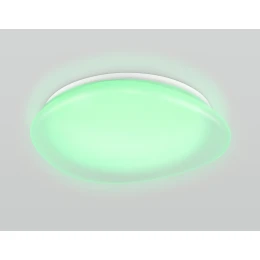 FZ1610 FR матовый IP20 40W 3000-6500K+RGB 410*100 (ПДУ ИК)