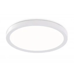 FZ1903 WH белый IP54 20W 3000K-6500K CCT-переключатель D300*25 (Без ПДУ)