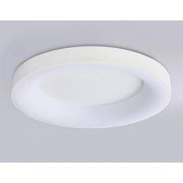 FZ1401 WH белый IP20 48W 3000K-6500K D500*50 (ПДУ ИК)