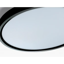 FZ3050 BK черный IP44 24W+10W 6400+6400К D300*40 (Без ПДУ)