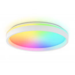 FZ607 WH/GD белый/золото IP20 66W 3000K-6500K+RGB D490*85 (ПДУ ИК)
