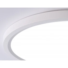 FZ1909 WH белый IP54 44W 3000K-6500K CCT-переключатель D600*25 (Без ПДУ)