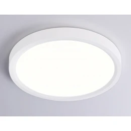 FZ1901 WH белый IP54 13W 3000K-6500K CCT-переключатель D230*25 (Без ПДУ)