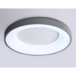 FZ1402 GR серый IP20 48W 3000K-6500K D500*50 (ПДУ ИК)