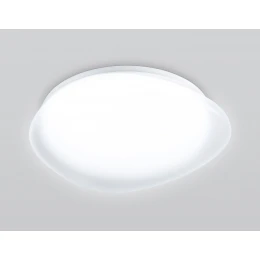 FZ1601 FR матовый IP20 40W 5000K 410*100 (Без ПДУ)