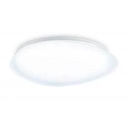 FZ1605 FR матовый IP20 60W 5000K 510*100 (Без ПДУ)