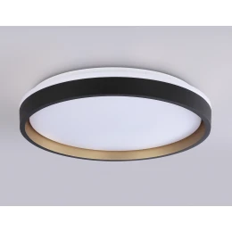 FZ610 BK/GD черный/золото IP20 66W 3000K-6500K+RGB D490*85 (ПДУ ИК)