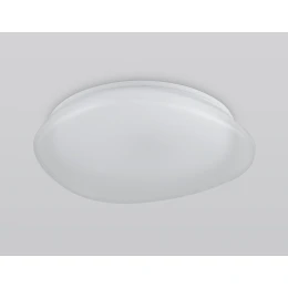 FZ1610 FR матовый IP20 40W 3000-6500K+RGB 410*100 (ПДУ ИК)