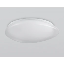 FZ1605 FR матовый IP20 60W 5000K 510*100 (Без ПДУ)