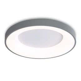 FZ1402 GR серый IP20 48W 3000K-6500K D500*50 (ПДУ ИК)
