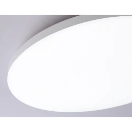 FZ2001 WH белый IP54 20W 3000K-6500K+RGB Wi-Fi Алиса/Tuya/Smart Home/Alexa D300*55 (ПДУ ИК)