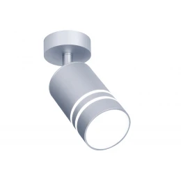 TN246 SL/S серебро/песок LED 4200K 5W D60*100